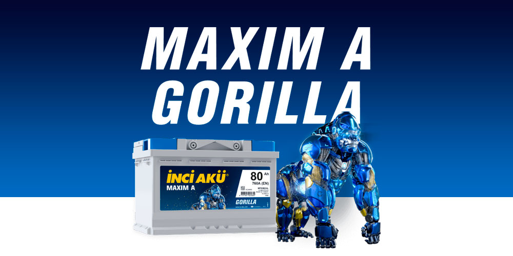 Inci Aku MAXIM A GORILLA